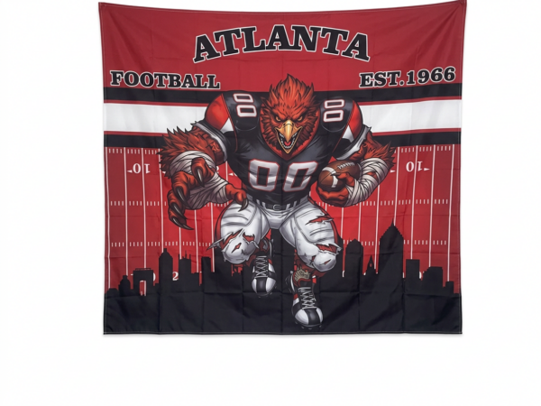 Atlanta Falcon Bathroom