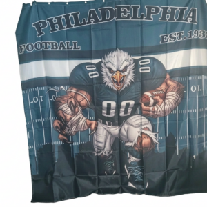 Eagles Bathroom - Image 3