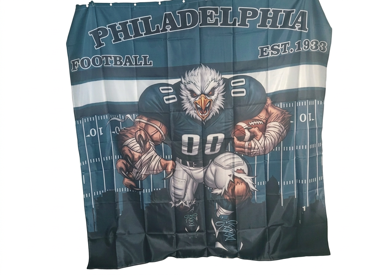 Eagles Bathroom - Image 3