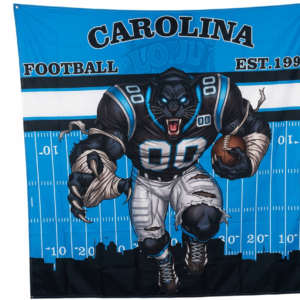 Panthers Bathroom - Image 3
